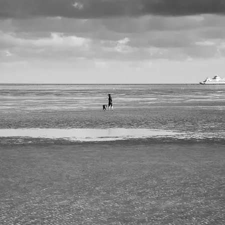 Wohnen Am Suedstrand - 1 5 Wyk auf Föhr