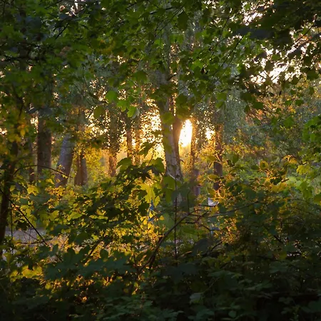 Wohnen Am Suedstrand - 1 5 Wyk auf Föhr