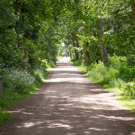 Wohnen Am Suedstrand - 1 5 Apartmán