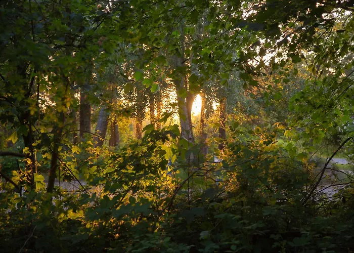 Wohnen Am Suedstrand - 1 5 Wyk auf Föhr