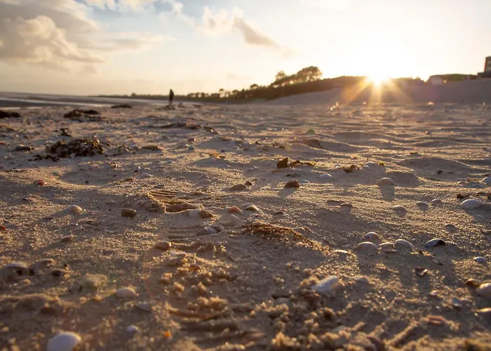 Daire Wohnen Am Suedstrand - 1 5 *