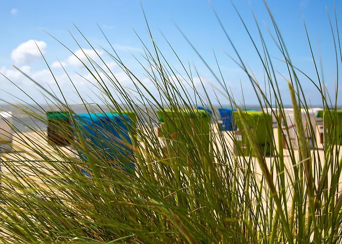 Daire Wohnen Am Suedstrand - 1 5