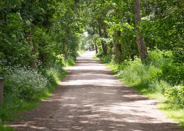 Wohnen Am Suedstrand - 1 5 Daire
